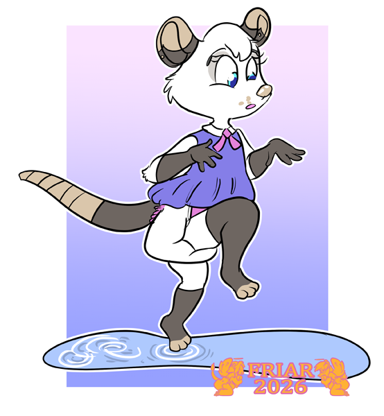 Nora the diapered possum crossing the puddle